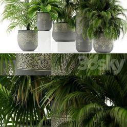 3D model Plants collection 147 handmade pots East style