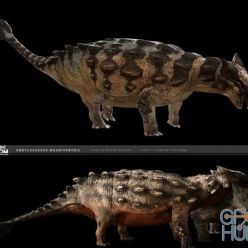 3D model Ankylosaurus magniventris PBR