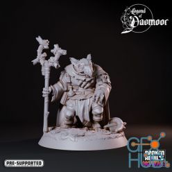 3D model Ratfolk Plague Sorcerer