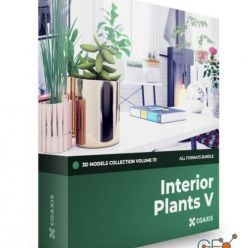 3D model CGAxis – Interior Plants 3D Models Collection – Volume 111