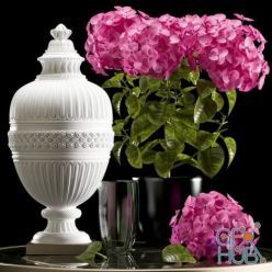 3D model Hydrangea and white vase