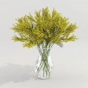 3D model Mimosa in glass vase