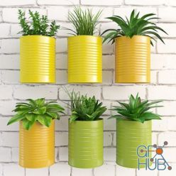 3D model Plants in colored wall pots