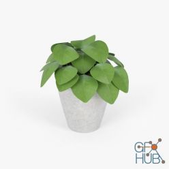 3D model Plant Slant Light Grey Short Planter