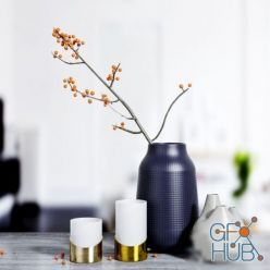 3D model Vases with branch and candles