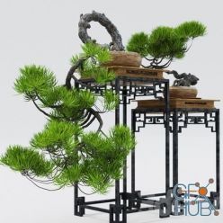 3D model Decorative bonsai plant