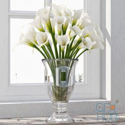 3D model Calla lily in vase