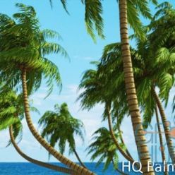 3D model vrayc4d – HQ Palms vol.1 for Cinema 4D