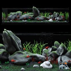 3D model Aquarium (max, fbx)