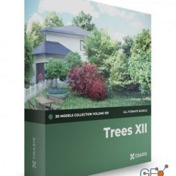 3D model CGAxis – Trees 3D Models Collection – Volume 109