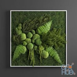 3D model Phyto picture