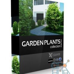 3D model CGAxis Models Volume 19 Garden Plants