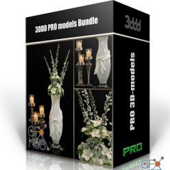 3D model 3DDD/3DSky PRO models – August 2 2020