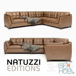 3D model Sofa Natuzzi Editions