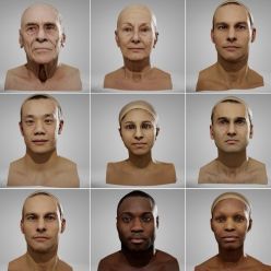 3D model Anatomy360 – Neutral Heads Pack 01