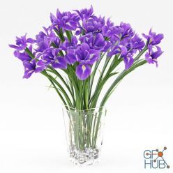 3D model Irises in a vase