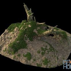 3D model Broken tree stump with grass - HQ 3D-Scan