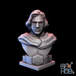 3D model Kylo Ren Bust – 3D Print