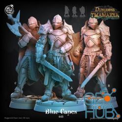 3D model Blue Capes – 3D Print