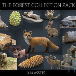 3D model Cubebrush – The Forest Collection Pack