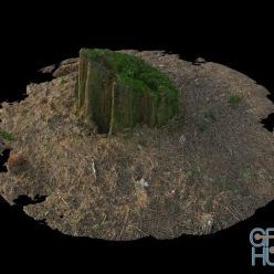 3D model Forest stump with moss 02 3D-Scan