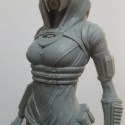 3D model Tali'Zorah