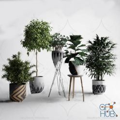 3D model Plant Compilation 99