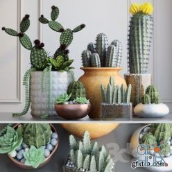 3D model Set with Cactuses