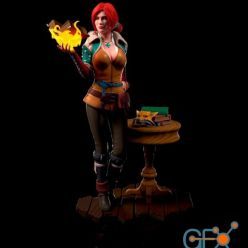 3D model Triss Merigold