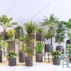 3D model Plants Collection 64