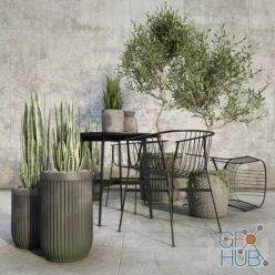 3D model Outdoor furniture by SP01 and plants