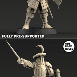 3D model One Page Rules - Age of Fantasy Duchies of Vinci Militia – 3D Print