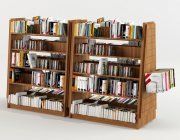 3D model Racks with bookshelves