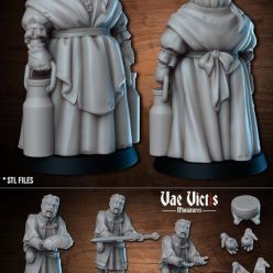 3D model Vae Victis – 3D Print