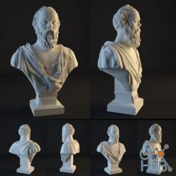3D model Socrates Bust