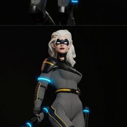 3D model Black Canary – 3D Print