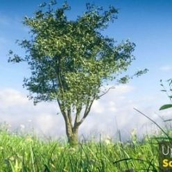 3D model Blender Market – Realistic Tree Asset Pack – 2.8 + eevee update