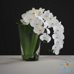 3D model Orchids in a glass vase