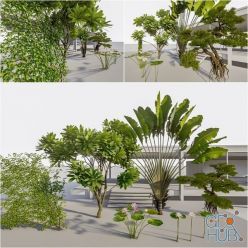 3D model Lumion Trees 3D Models Collection