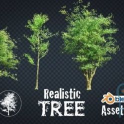 3D model Blender Market – Realistic Tree Asset Pack v1.1