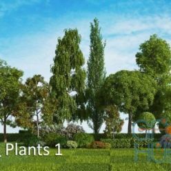 3D model HQ Plants vol.1 for Cinema 4D