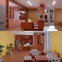 3D model Interior Director Office Scene Sketchup