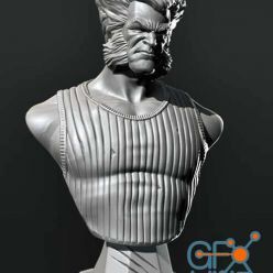3D model Logan Wolverine Bust – 3D Print