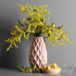 3D model Decorative Mimosa Lemon