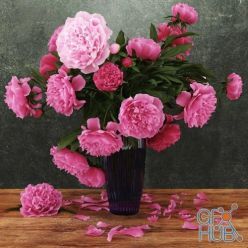3D model Bouquet of pink peonies