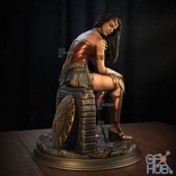 3D model 3D Print Wonder Woman – Gal Gadot