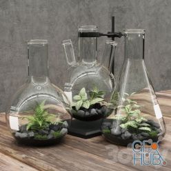 3D model Florariumy flasks