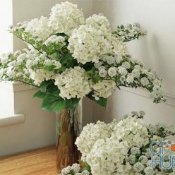 3D model Two bouquets with hydrangea