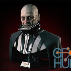 3D model Unmasked Darth Vader Bust – 3D Print
