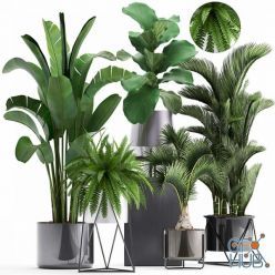 3D model Plant collection 290